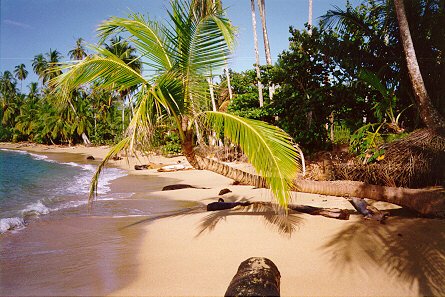 Playa Costa Rica